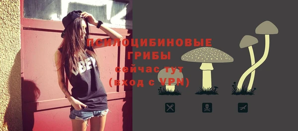 амф Володарск