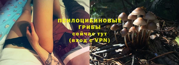 бошки Волоколамск